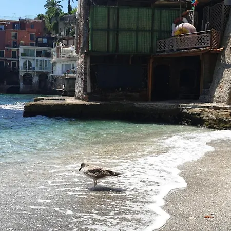 Casa Posillipo Baia San Pietro Con Appartamento
